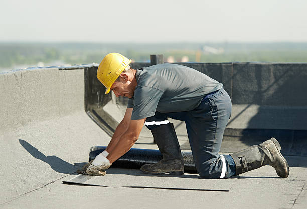 Best Cellulose Insulation in Nth Plains, OR