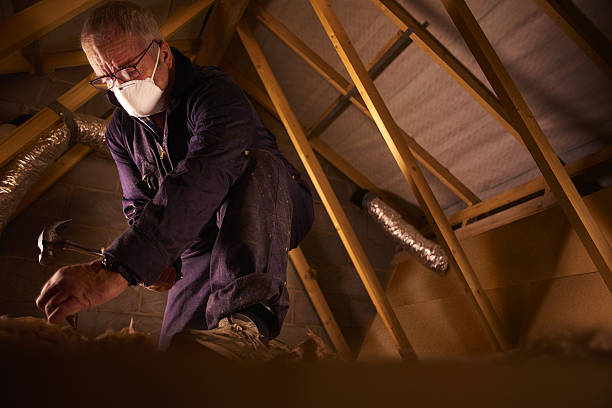 Types of Insulation We Offer in North Plains, OR