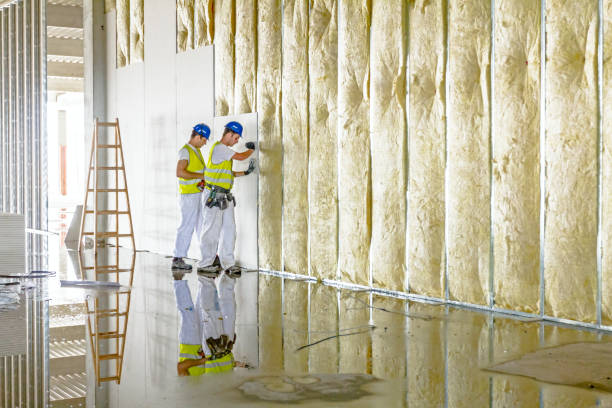 Best Eco-Friendly Insulation in Nth Plains, OR